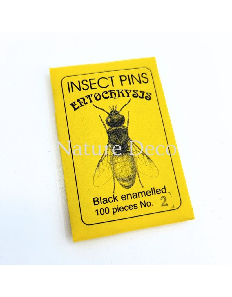 . Insect pins black pins size 2