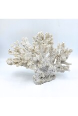 . Artificial coral white