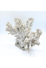 . Artificial coral white