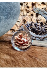 . Pine cone in resin "sphere"