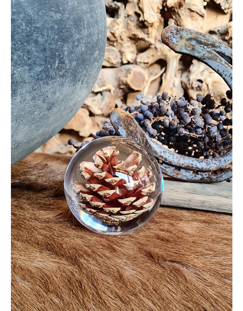 . Pine cone in resin "sphere"