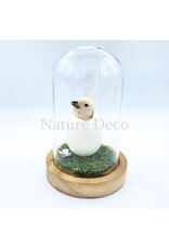 . Chicken chick in LED glass dome #1 (10cm x 15cm)