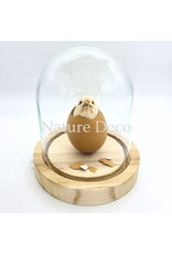 . Chicken chick in LED glass dome #2 (12cm x 14cm)