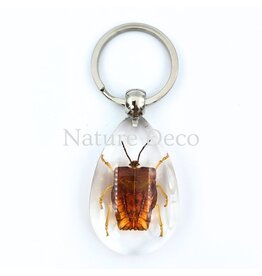 . Insecten sleutelhanger #2