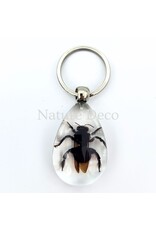 . Insecten sleutelhanger #4