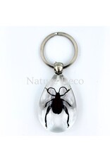 . Insect keychain #5