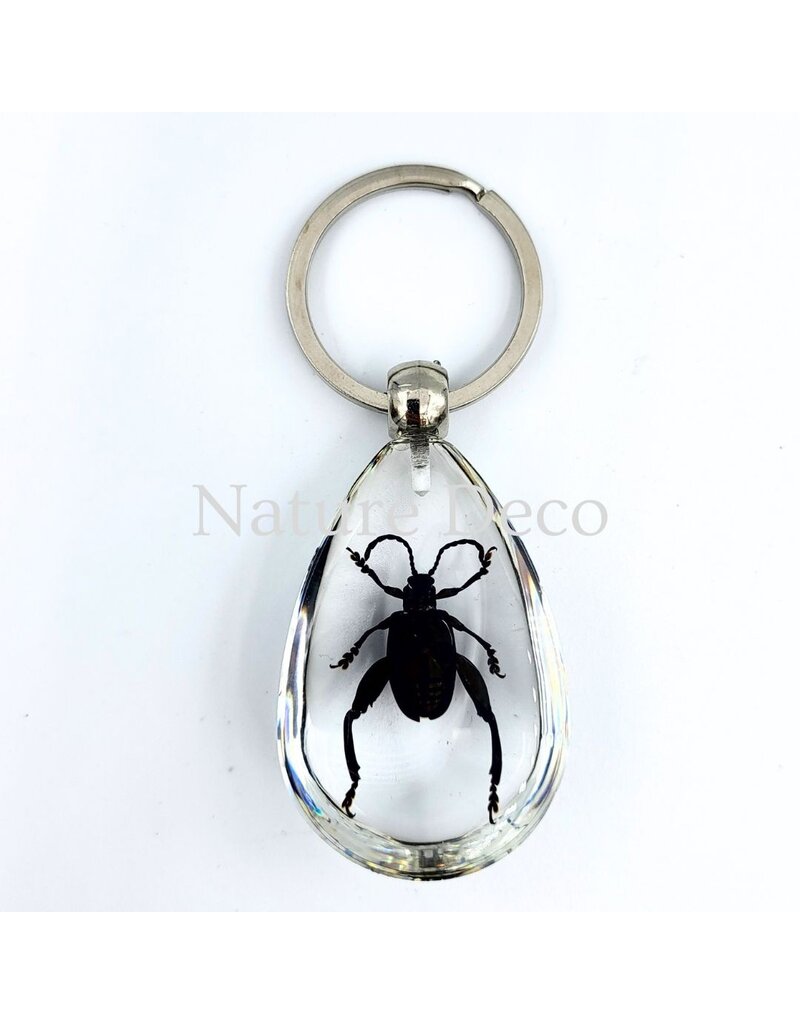 . Insect keychain #5