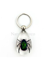 . Insect keychain #9