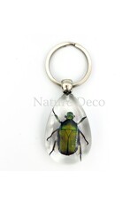 . Insecten sleutelhanger #10