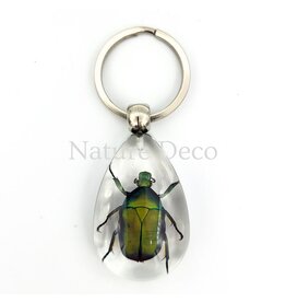 . Insecten sleutelhanger #10