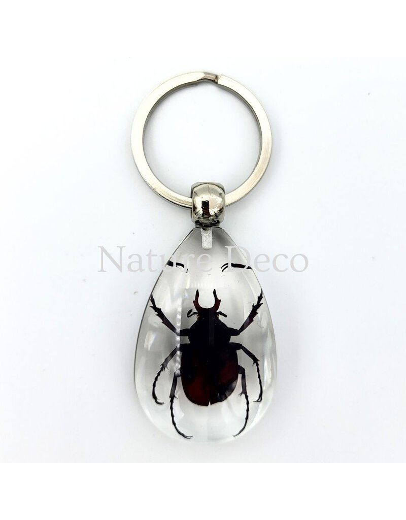 . Insecten sleutelhanger #11