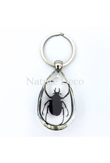 . Insect keychain #11