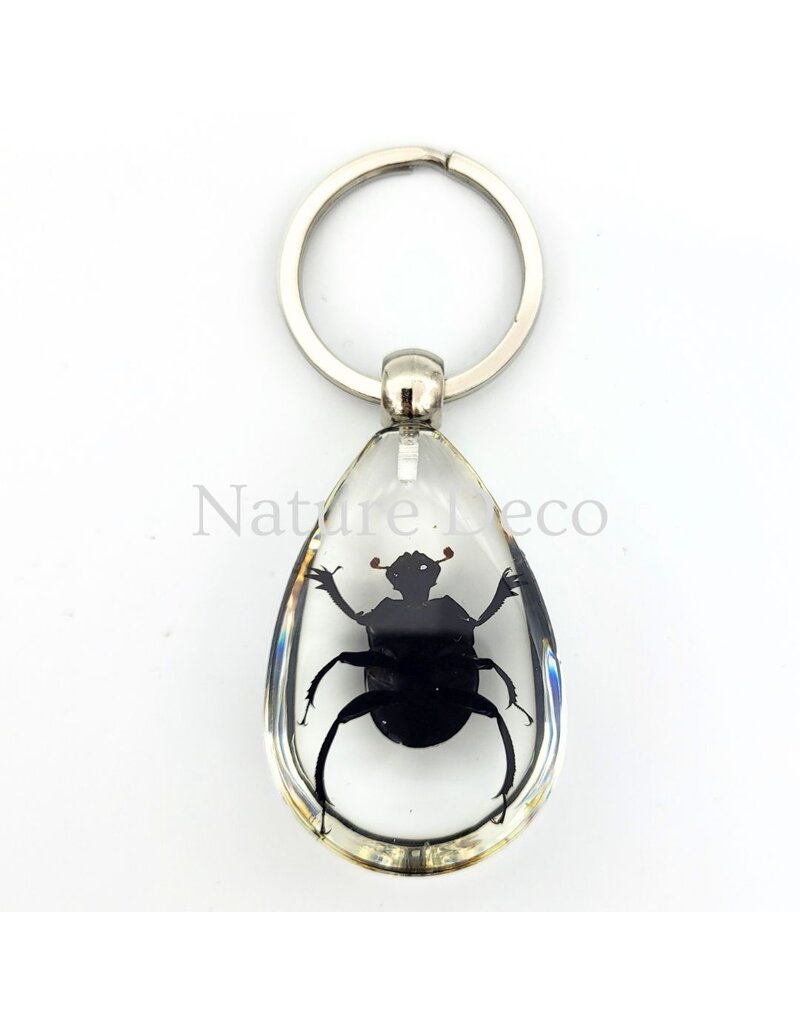 . Insect keychain #12