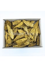 . Gold wash kyanite (box)