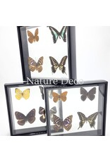 . B keus Lijst met 4 vlinders 20 x 20 x 4,5cm