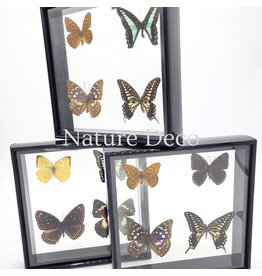 . B edion Frame with 4 butterflies