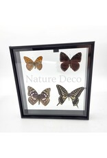 . B edetion Frame with 4 butterflies 20 x 20 x 4.5cm