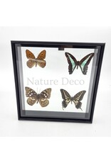 . B keus Lijst met 4 vlinders 20 x 20 x 4,5cm