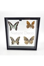 . B keus Lijst met 4 vlinders 20 x 20 x 4,5cm