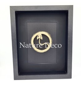 . Snake skeleton "coin" in 3D frame