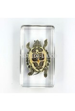 . Turtle in resin 7 x 4 x 2 cm