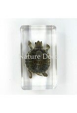 . Turtle in resin 7 x 4 x 2 cm
