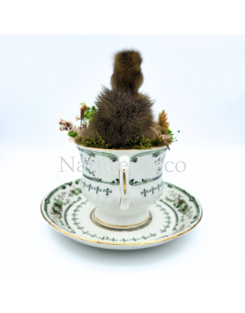 . Duckling in teacup #2 14 x 14 x 16 cm