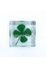 . Four-leaf clover in resin 3.5 x 3.5 x 1 cm