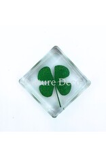 . Four-leaf clover in resin 3.5 x 3.5 x 1 cm