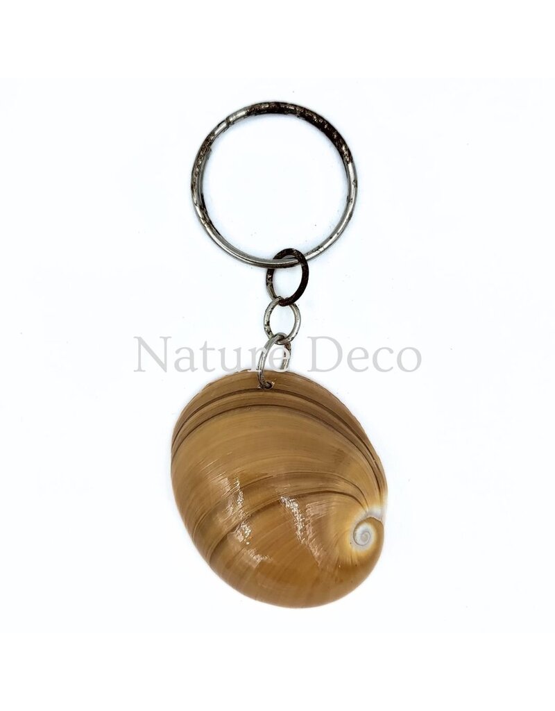 . B-grade shell Keychain #6