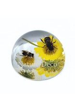 . Bees on Flowers in Half-Dome Resin 6.5 x 6.5 x 3.5 cm