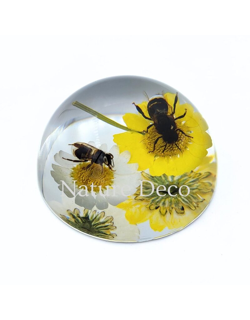 . Bees on Flowers in Half-Dome Resin 6.5 x 6.5 x 3.5 cm