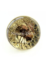 . Gold Door Knob with Wasp Spider 3.5 x 3.5 x 4 cm