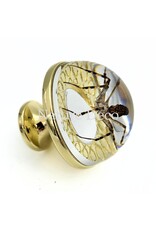 . Gouden deurknop met wespspin 3,5 x 3,5 x 4 cm