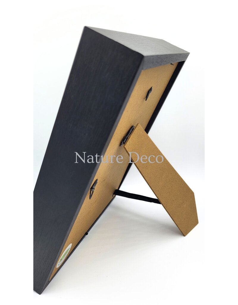 . Vliegende vleermuis  half opgezet - half skelet in luxe 3D lijst 27 x 22 cm