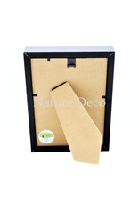 Nature Deco Creobroter Gemmatus duo in luxe 3D lijst 20,3 x 15,3 cm