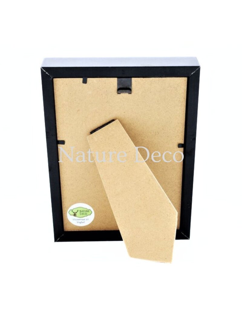 Nature Deco Creobroter Gemmatus duo in luxe 3D lijst 20,3 x 15,3 cm