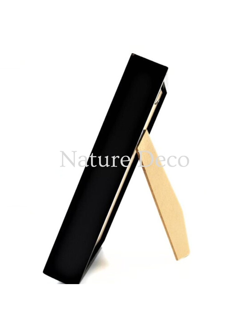 Nature Deco Creobroter Gemmatus duo in luxe 3D lijst 20,3 x 15,3 cm