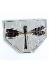 . Ongeprepareerde Rhinocypha fenestrata