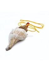 . Shell flute with cord