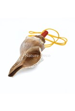 . Shell flute with cord