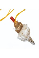 . Shell flute with cord