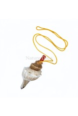 . Shell flute with cord
