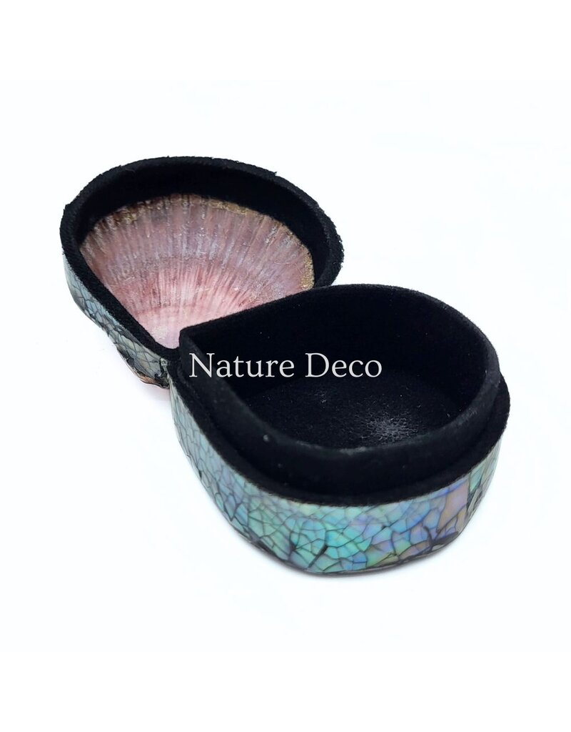 . Shell box brown/purple