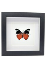 Nature Deco Panacea Prola in luxury 3D frame 17 x 17 cm