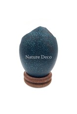 . Broken emu egg