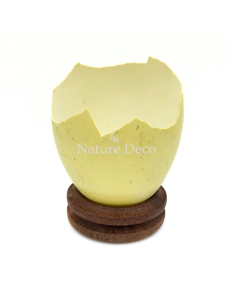 . Broken rhea egg