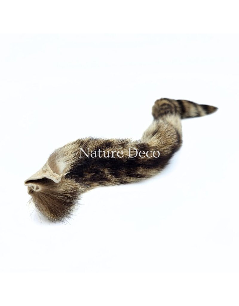 . Multicolored mink tail