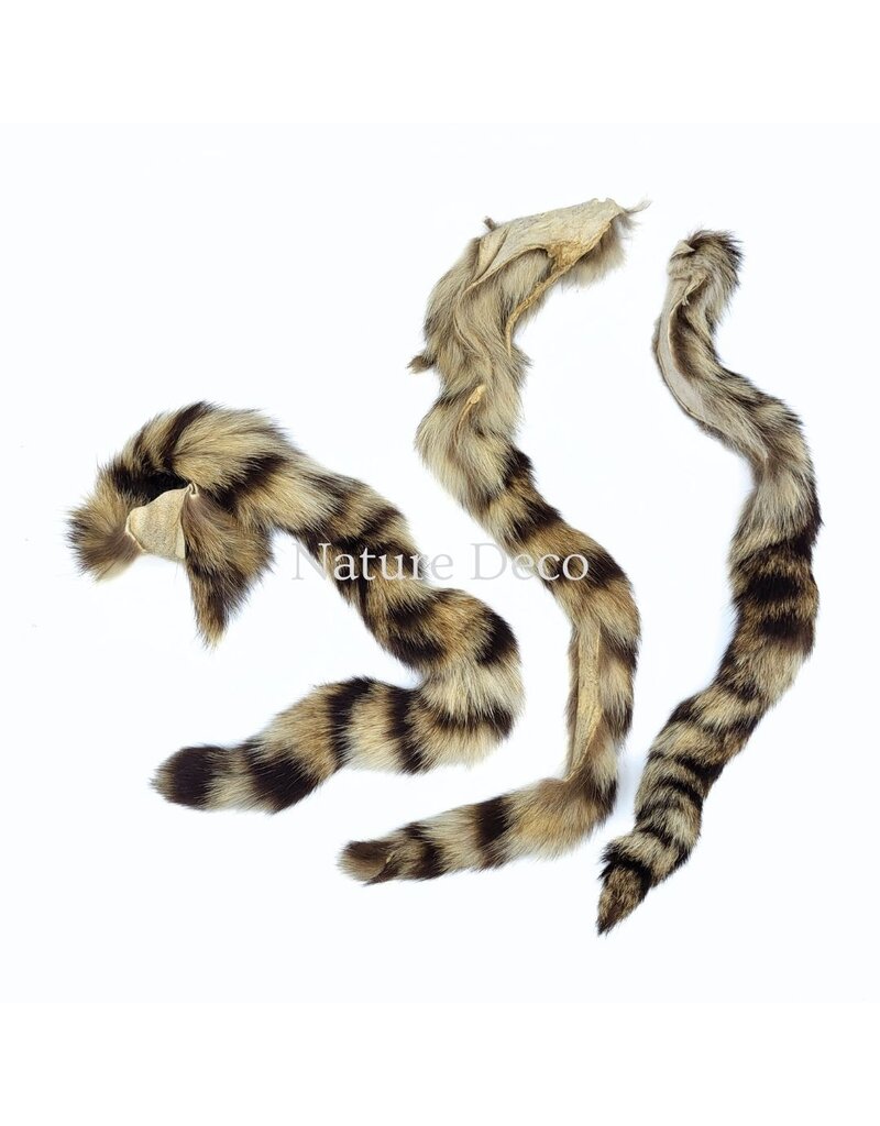 . Multicolored mink tail