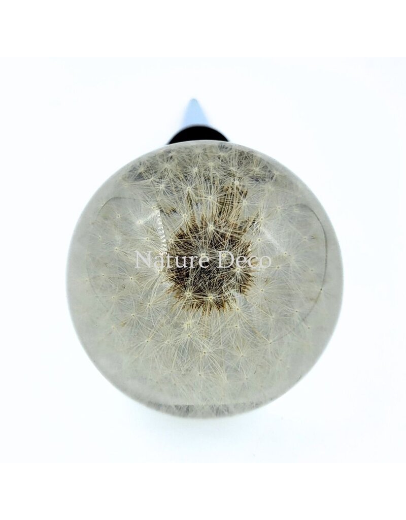 . Dandelion wine stopper in resin "sphere"